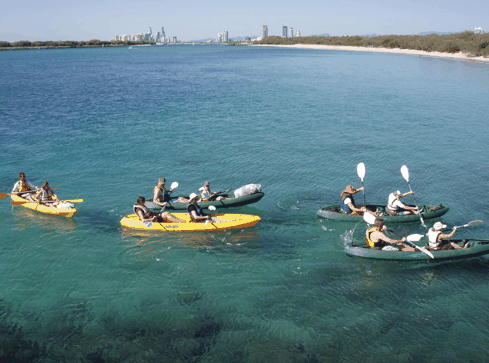 Australian Kayaking Adventures - Southport Accommodation 4