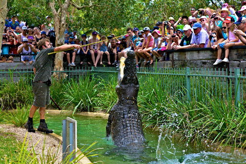 Australian Reptile Park - Accommodation Southport 4