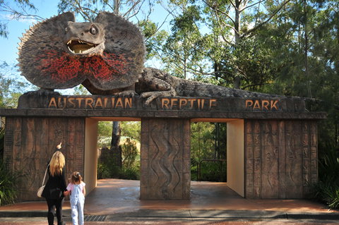 Australian Reptile Park - Accommodation Southport 5