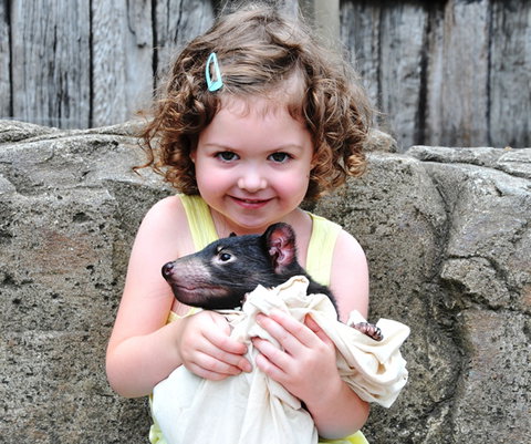 Australian Reptile Park - Accommodation Southport 8