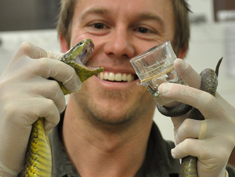 Australian Reptile Park - Accommodation Southport 9