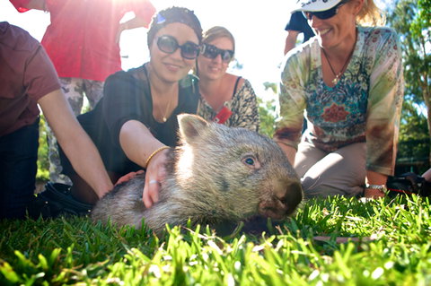 Australian Reptile Park - Accommodation Southport 10