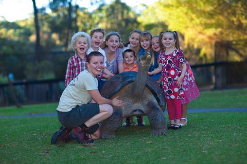 Australian Reptile Park - Accommodation Southport 11