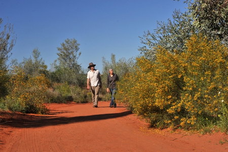 Alice Springs Desert Park - Accommodation Southport 3