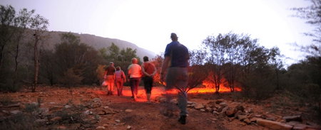 Alice Springs Desert Park - Accommodation Southport 4