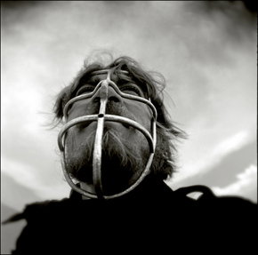 Australian Centre For Photography - Accommodation Southport 3