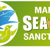 Manly SEA LIFE Sanctuary - Accommodation Southport