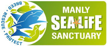 Manly SEA LIFE Sanctuary - Southport Accommodation 0