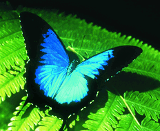 Book Cairns QLD Attractions Southport Accommodation Southport Accommodation