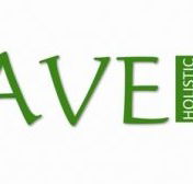 Agave Holistic Day Spa  Beauty - Accommodation Southport