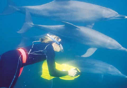 Rockingham Wild Encounters - Accommodation Southport 1