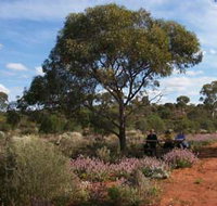 Karlkurla Bushland Park - Southport Accommodation