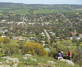 Mount Brown Lookout - Southport Accommodation 0