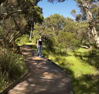 Leschenault Peninsula Conservation Park - Accommodation Southport