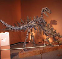 Denmark Dinosaur World - Southport Accommodation