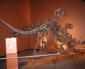 Denmark Dinosaur World - Southport Accommodation 0