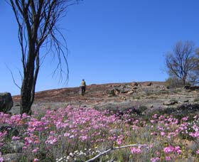 Talgomine Reserve - Accommodation Southport 0