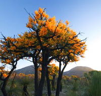 Cape Le Grand National Park - Accommodation Southport