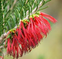 Ethel Daw Scenic Drive - Accommodation Southport