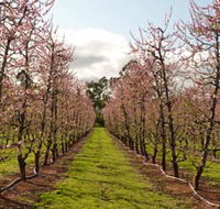 Raeburn Orchards - Southport Accommodation