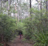 Margaret River Rails Trail - Southport Accommodation