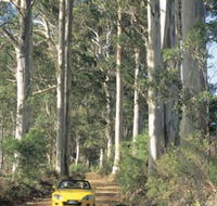 Scotsdale Tourist Drive - Southport Accommodation