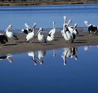 Peel Region Canoe Trails - Southport Accommodation