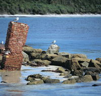 Whalers Beach - Southport Accommodation