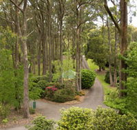 Mount Lofty Botanic Garden - Accommodation Southport