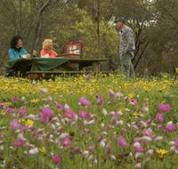 Gwambygine Park - Accommodation Southport