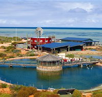Ocean Park Aquarium - Southport Accommodation