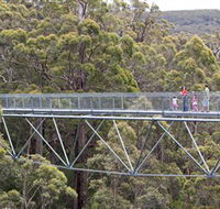 Walpole Wilderness Discovery Centre - Southport Accommodation