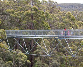 Walpole Wilderness Discovery Centre - Southport Accommodation 0