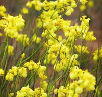 Mount Madden Scenic Drive - Accommodation Southport