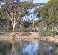 Merredin Railway Dam - Accommodation Southport