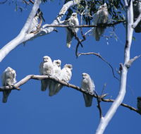 Carawine Gorge - Accommodation Southport