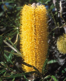  Accommodation Southport