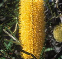 Moore River National Park - Accommodation Southport