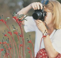 Gingin Cemetery - Accommodation Southport