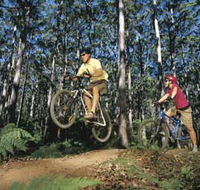 Leeuwin-Naturaliste National Park - Cowaramup - Southport Accommodation