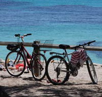 Parker Point Marine Snorkel Trail - Southport Accommodation