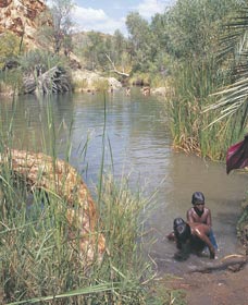 Palm Springs - Southport Accommodation 0