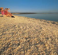 Shell Beach - Southport Accommodation