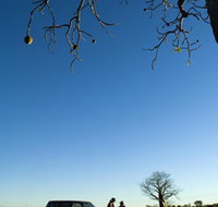 Joonjoo Botanical Trail - Southport Accommodation