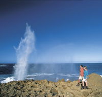 The Blowholes Carnarvon - Accommodation Southport