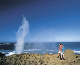 The Blowholes Carnarvon - Southport Accommodation 0