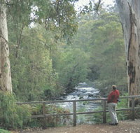 Cascades - Accommodation Southport