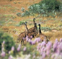 Jurabi Coastal Reserve - Accommodation Southport