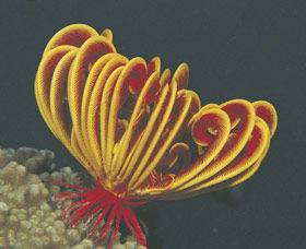 Lighthouse Bay - Accommodation Southport 0