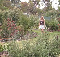 The Mythic Mazes - Accommodation Southport